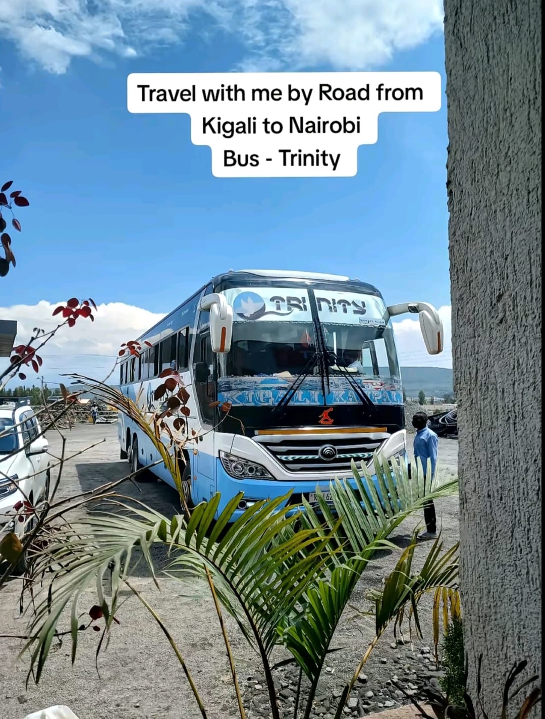 Trinity Bus Service fleet photo